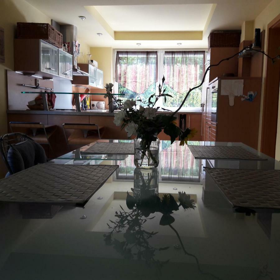 סנץ Villa Kysucka מראה חיצוני תמונה
